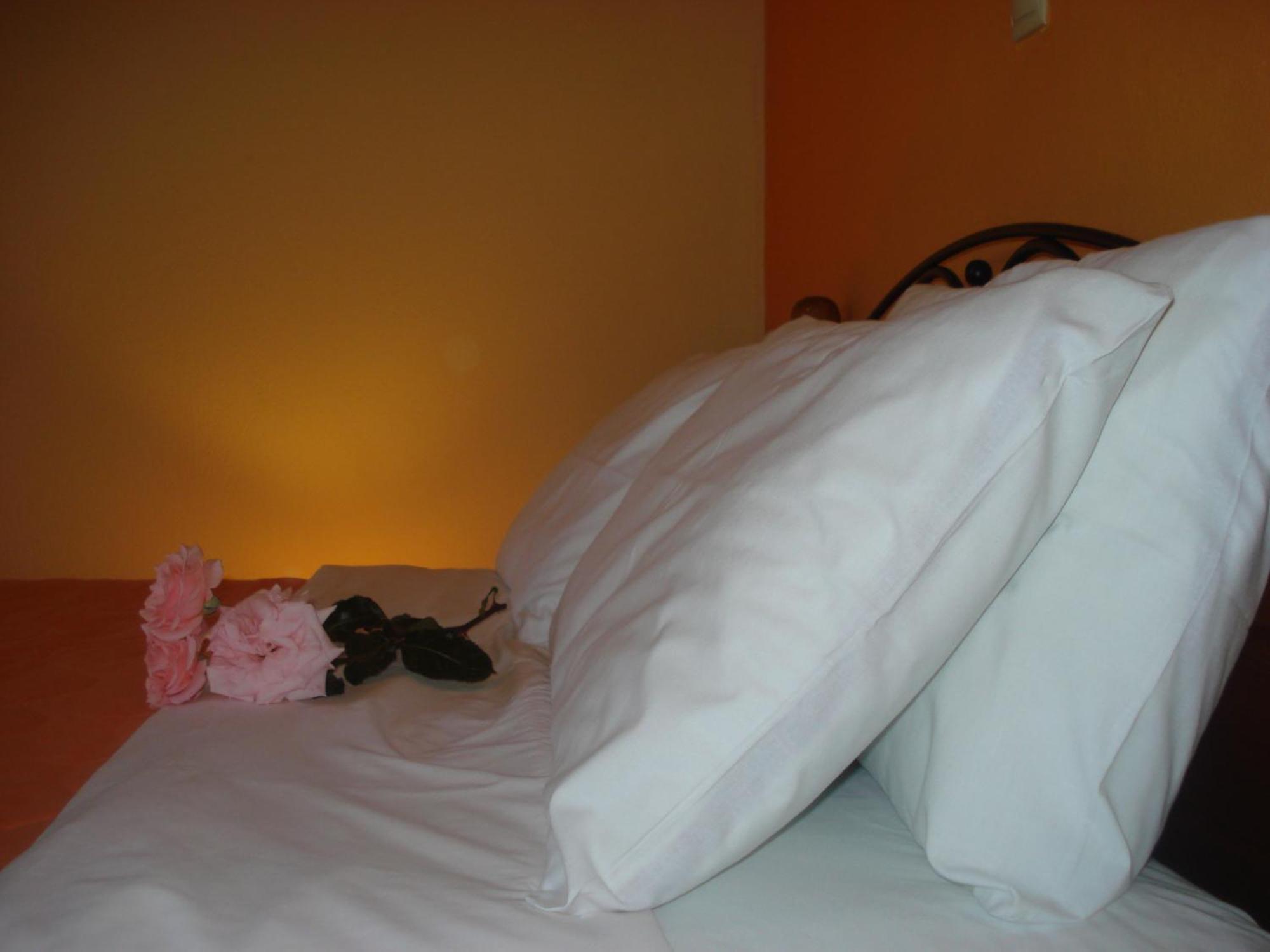 Iris Otel Arachova Dış mekan fotoğraf